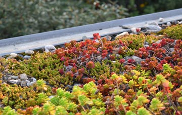 the cost of Ashby De La Launde green roof installation